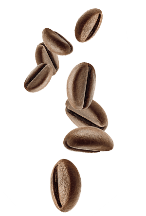 Foto ingradiente biscotto