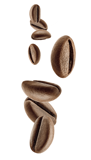 Foto ingradiente biscotto