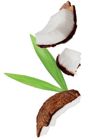 Foto ingradiente biscotto