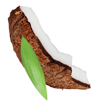 Foto ingradiente biscotto