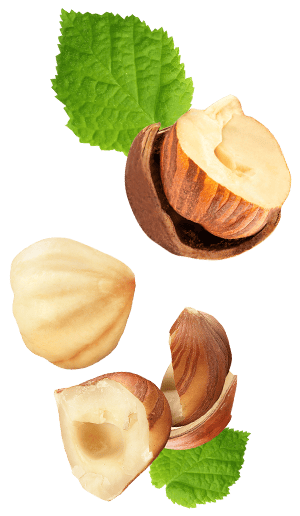 Foto ingradiente biscotto