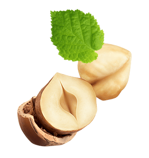 Foto ingradiente biscotto