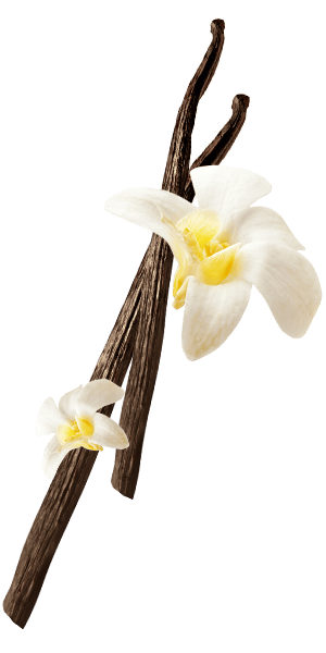 Foto ingradiente biscotto