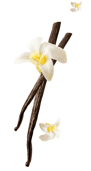 Foto ingradiente biscotto